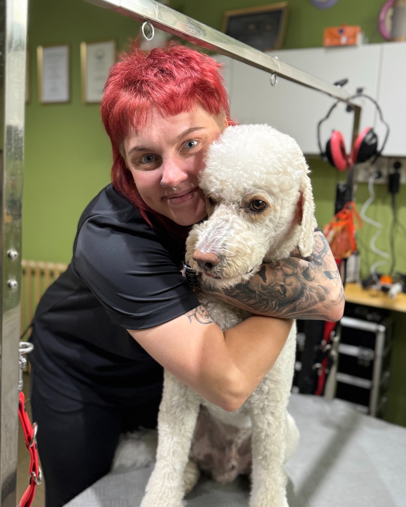 Hundstund Annei med en vit pudel